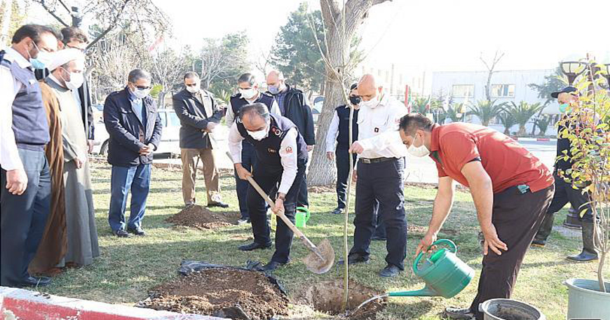 کاشت نهال در سازمان آتش نشانی به مناسبت روز درخت کاری
